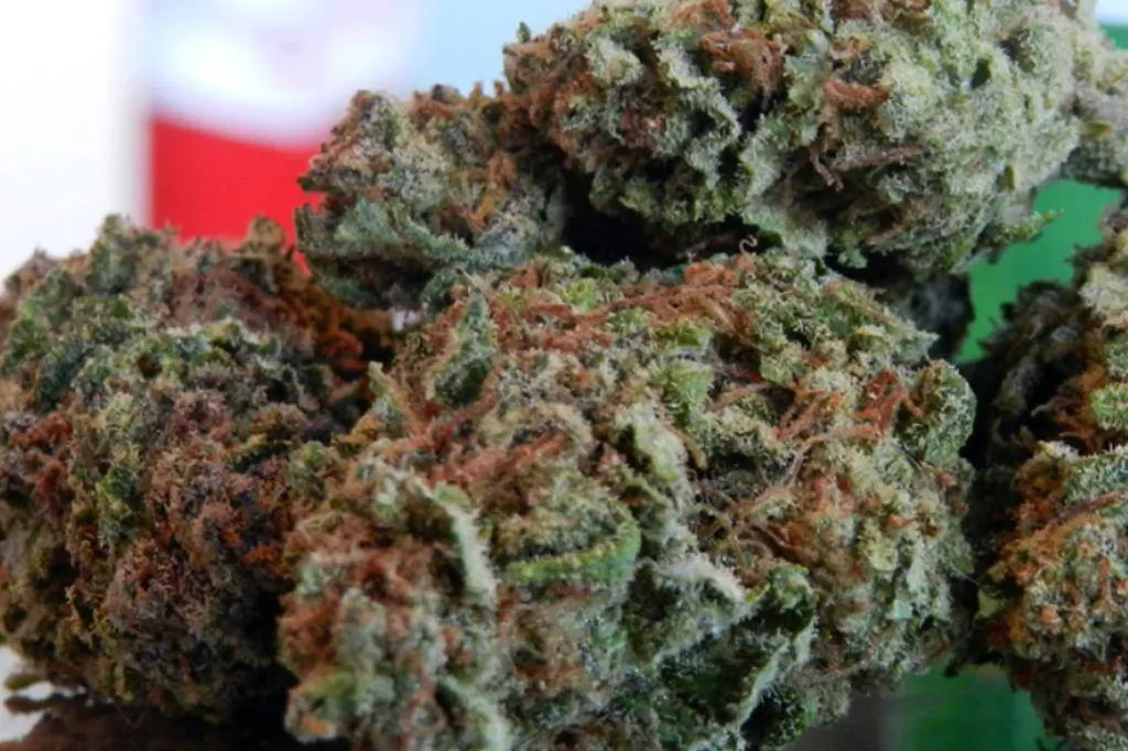 4 Prophets Marijuana Strain